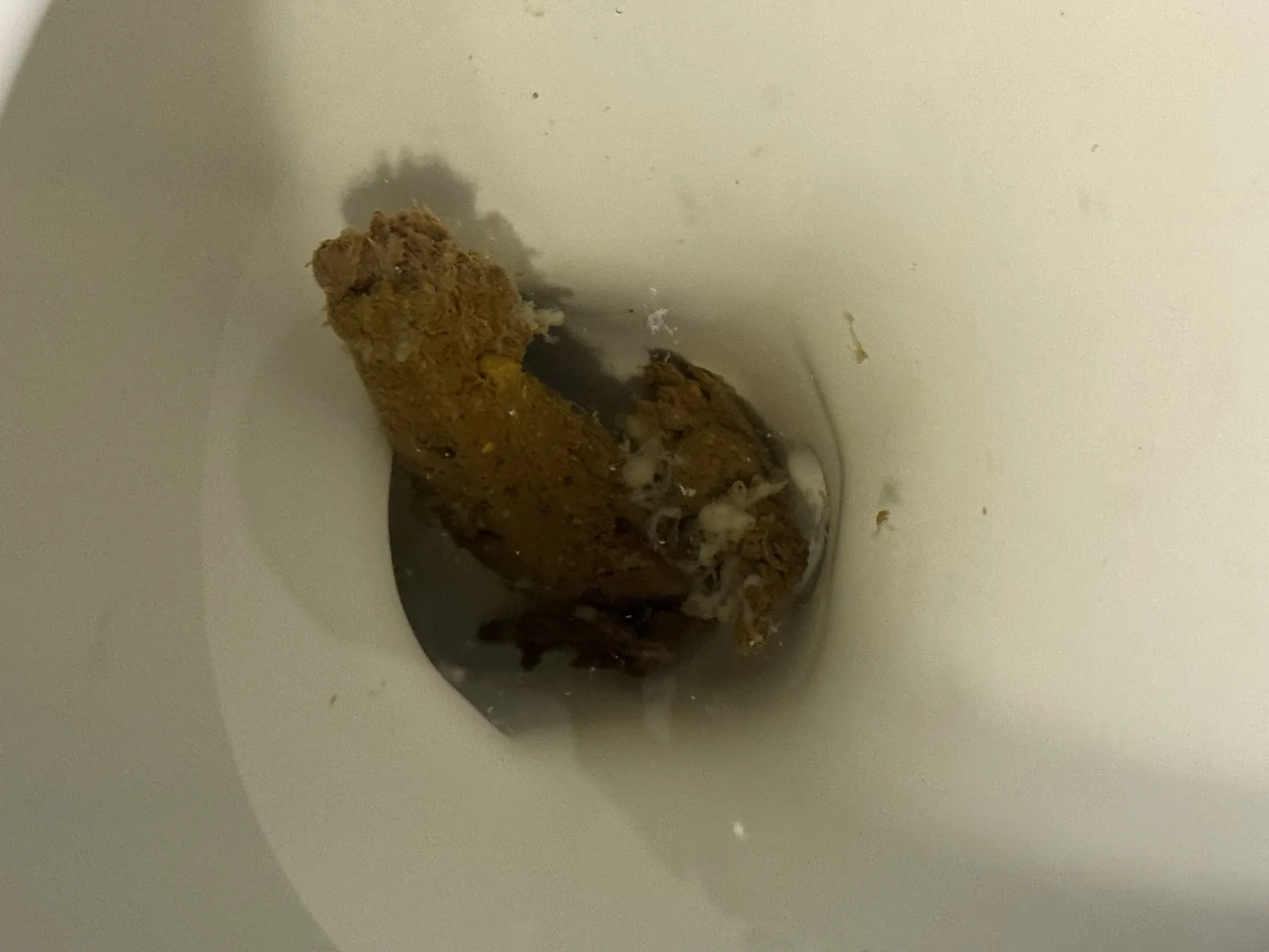 Mucus Poop Wegovy