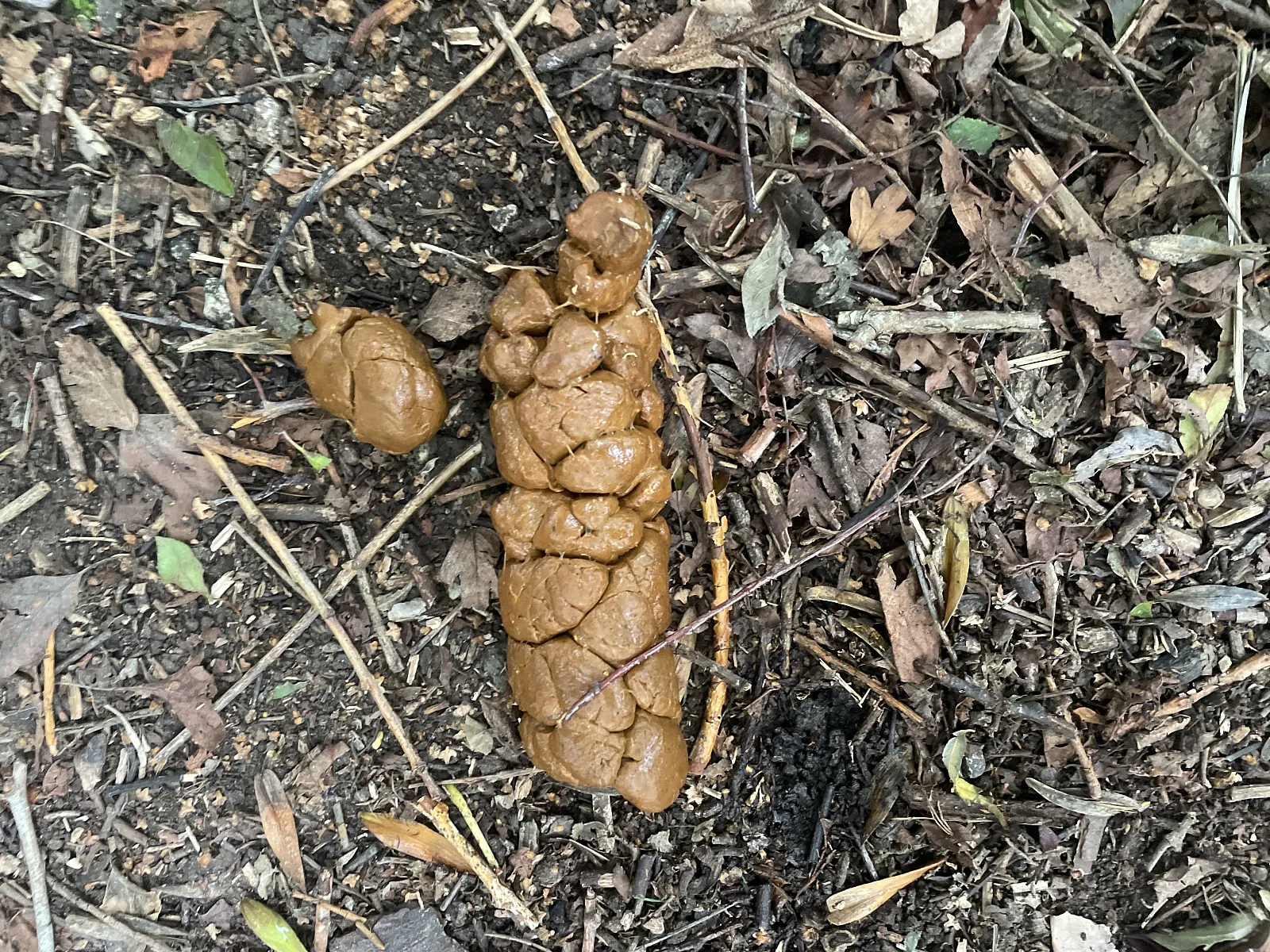 Couldn’t wait to get home