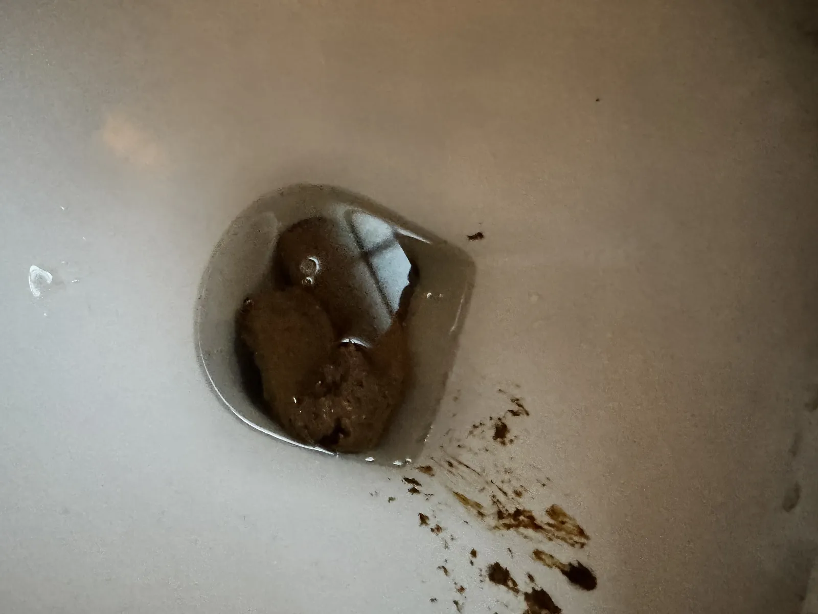 My Friends are waiting