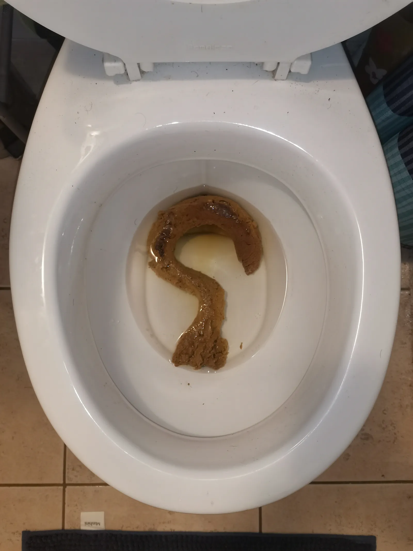 Big poop 2