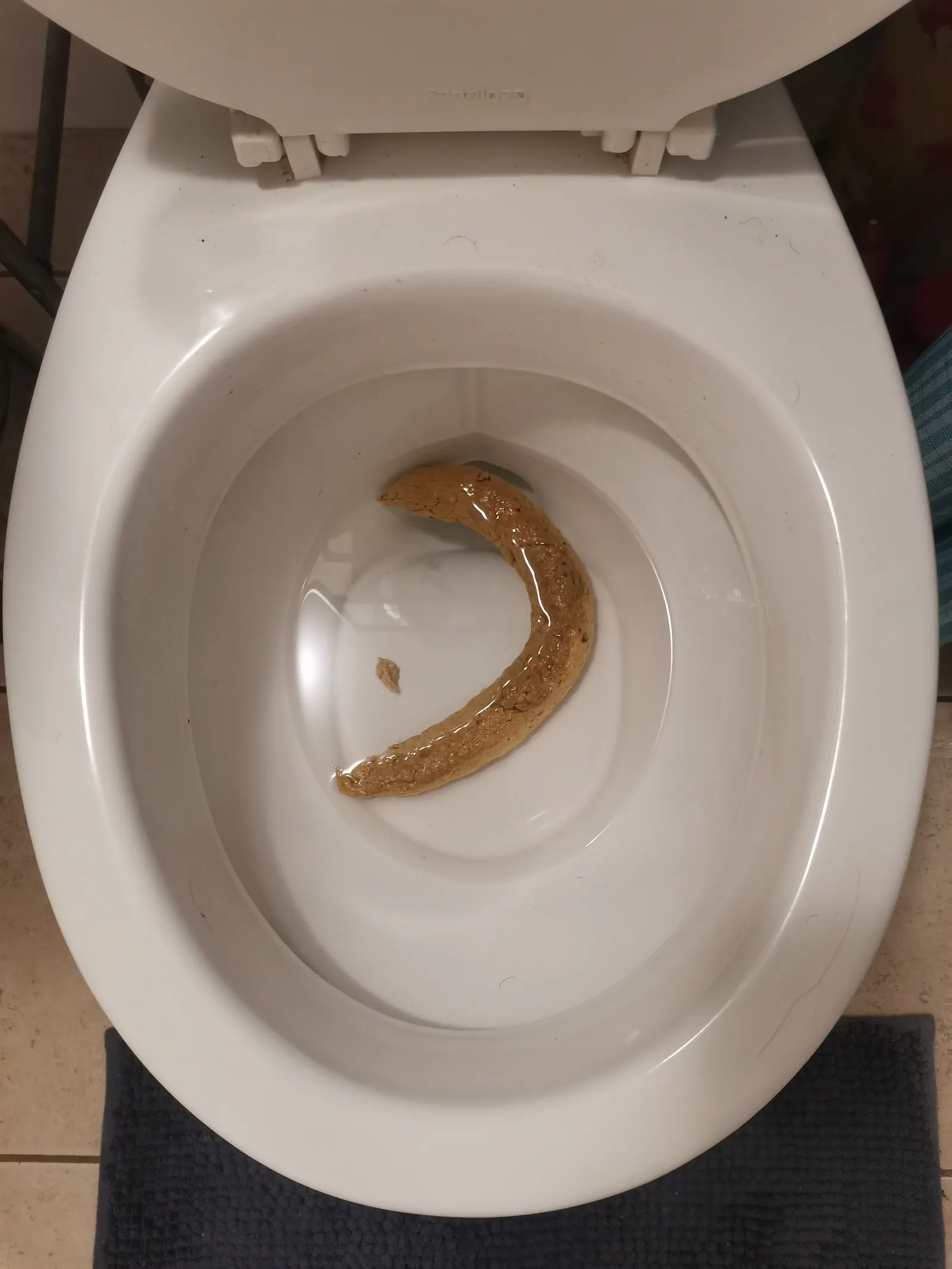 Big Poop 3