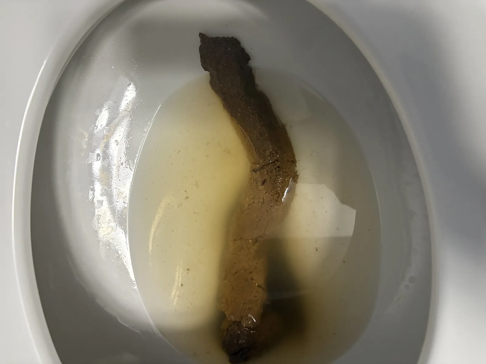 Too bad it broke, I was hoping for 2ft.