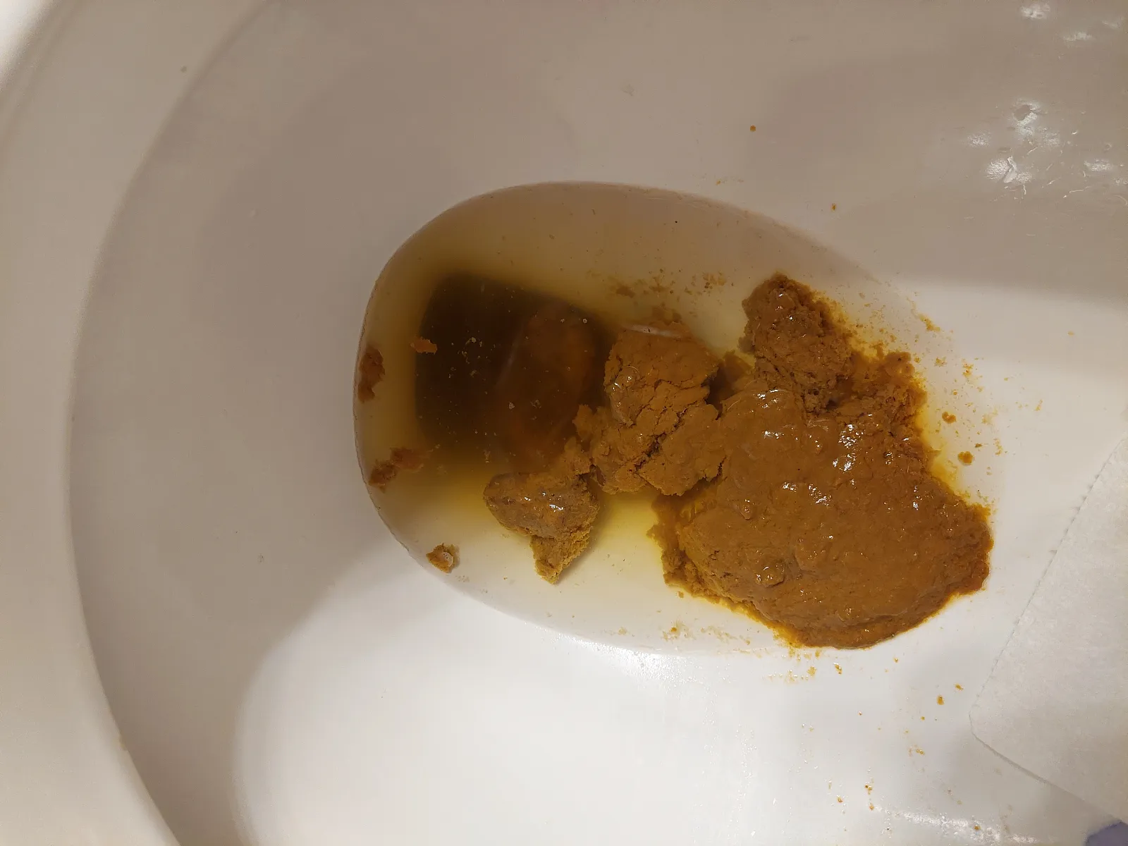 Taco bell toilet wrecker