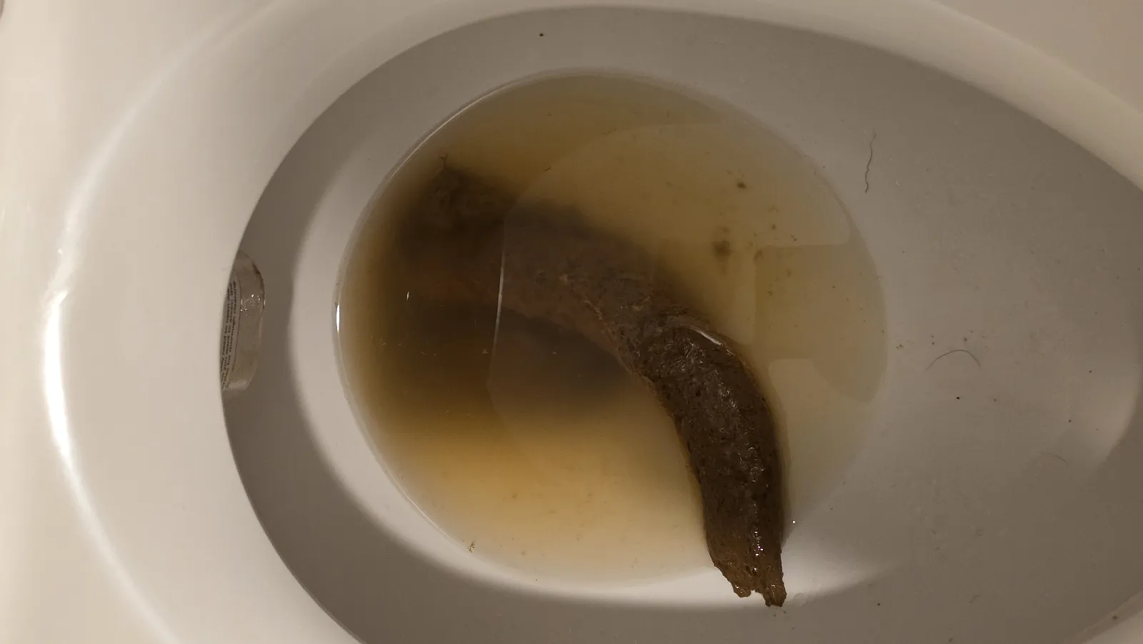 Keto Poop