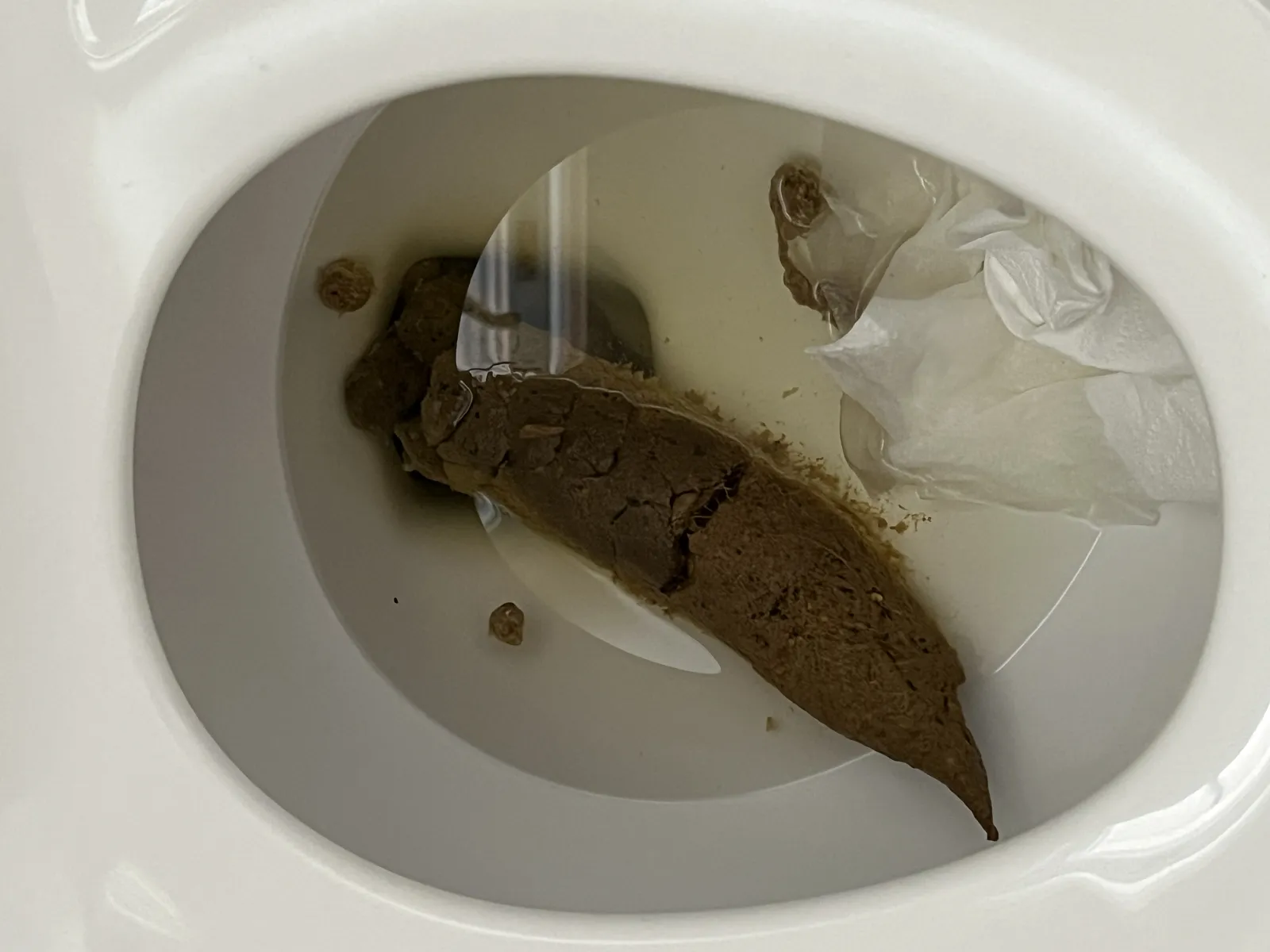 Massive High Fibre Poo