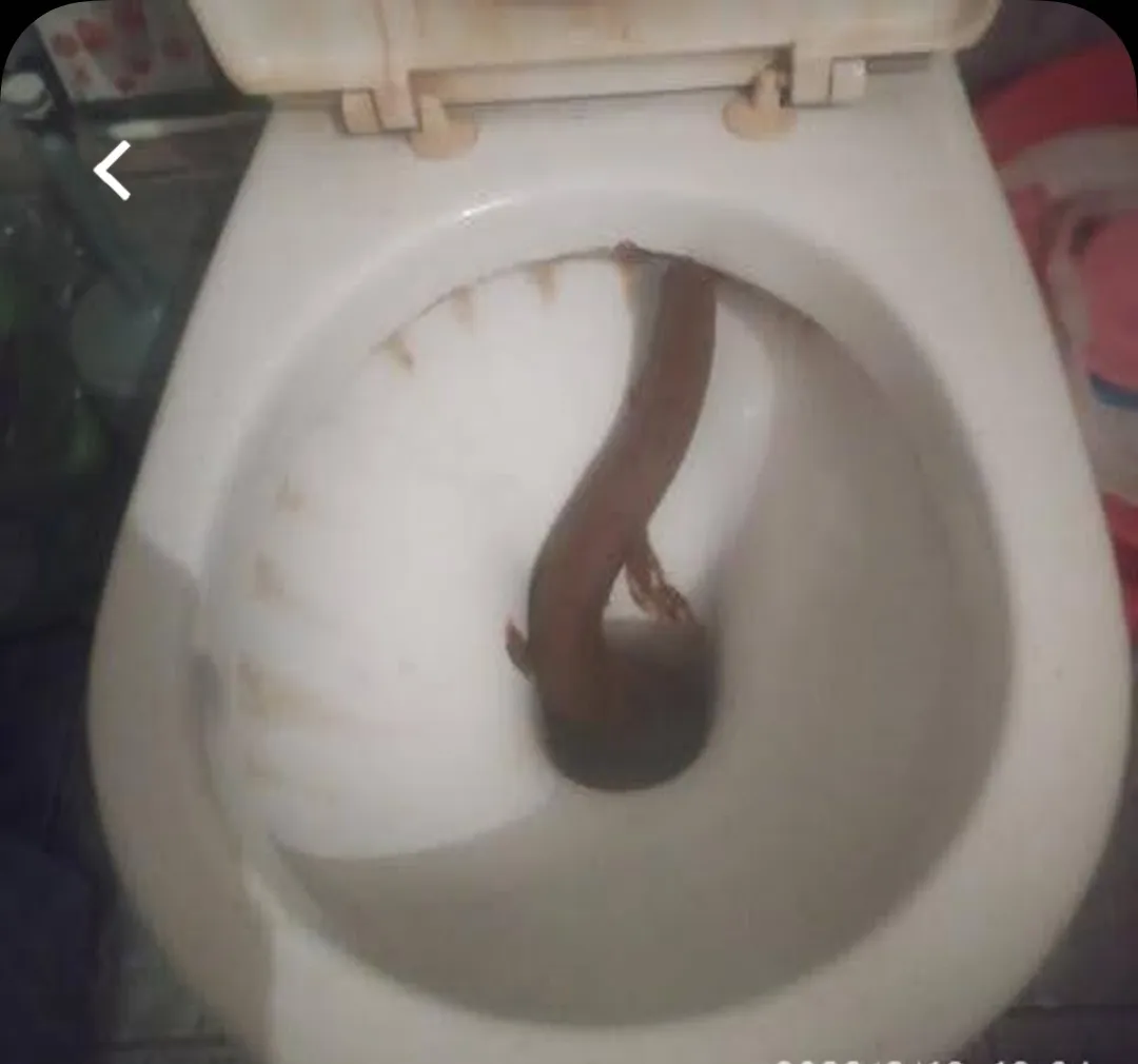 one of my longest, unbroken and most painful