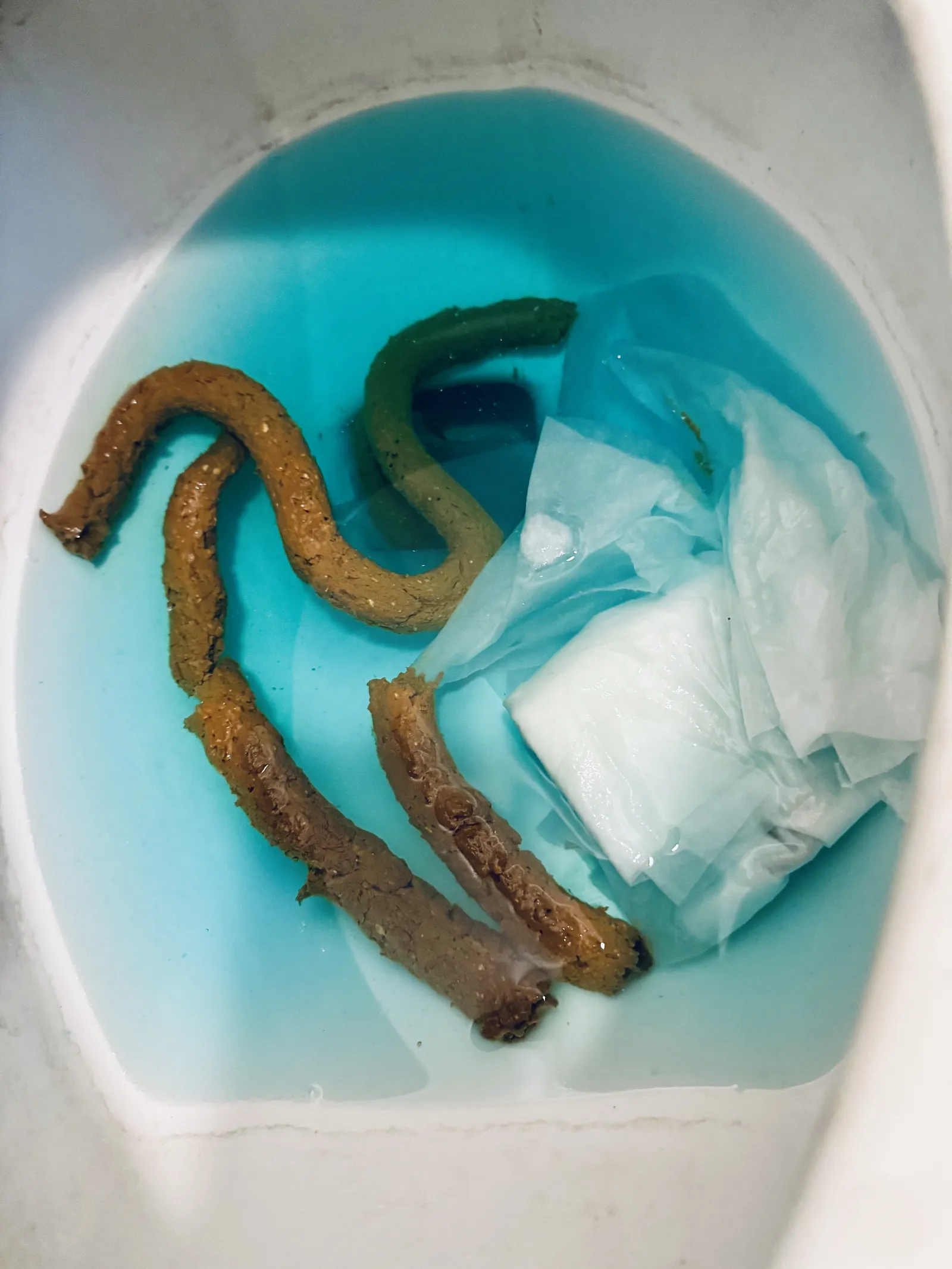 Jörmungandr Viking Snake