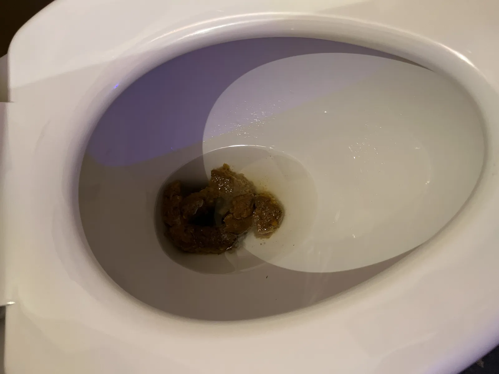 Poop after dinner