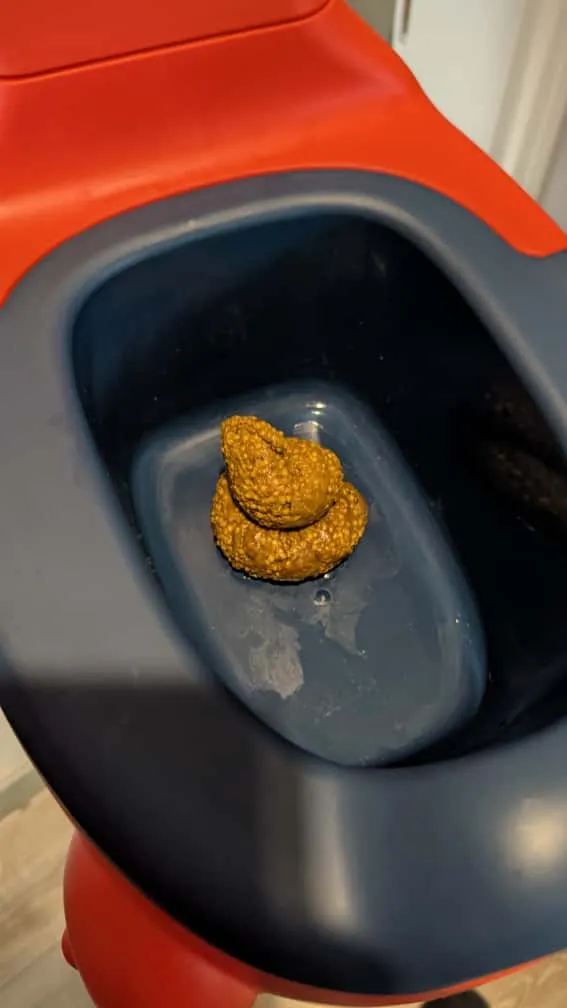 2.5 Year Old Poo