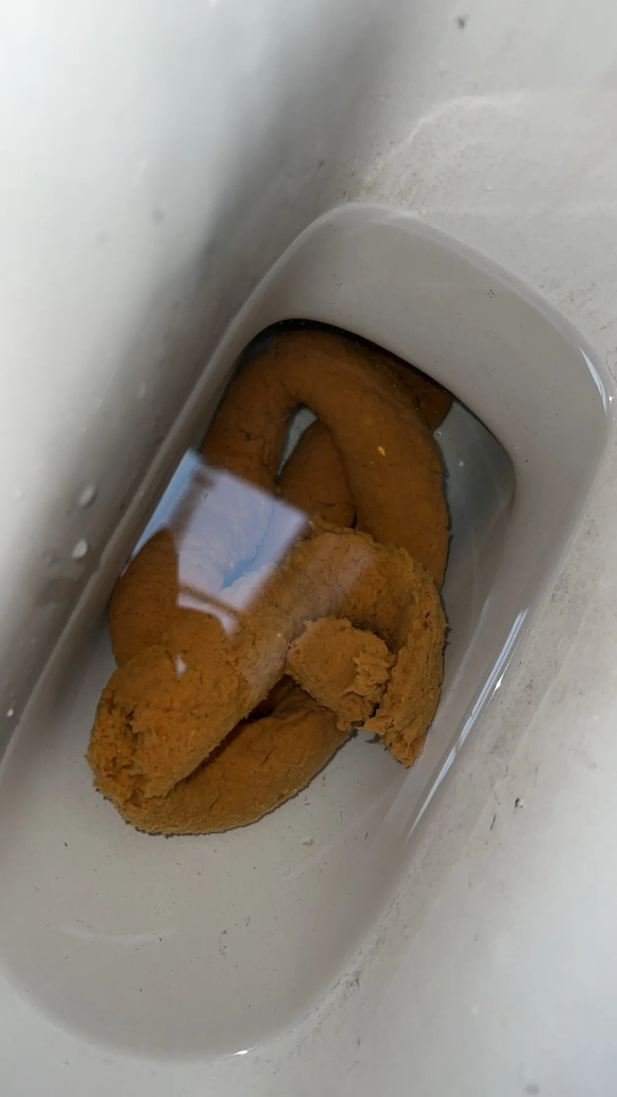 After 2 Days like a Snake