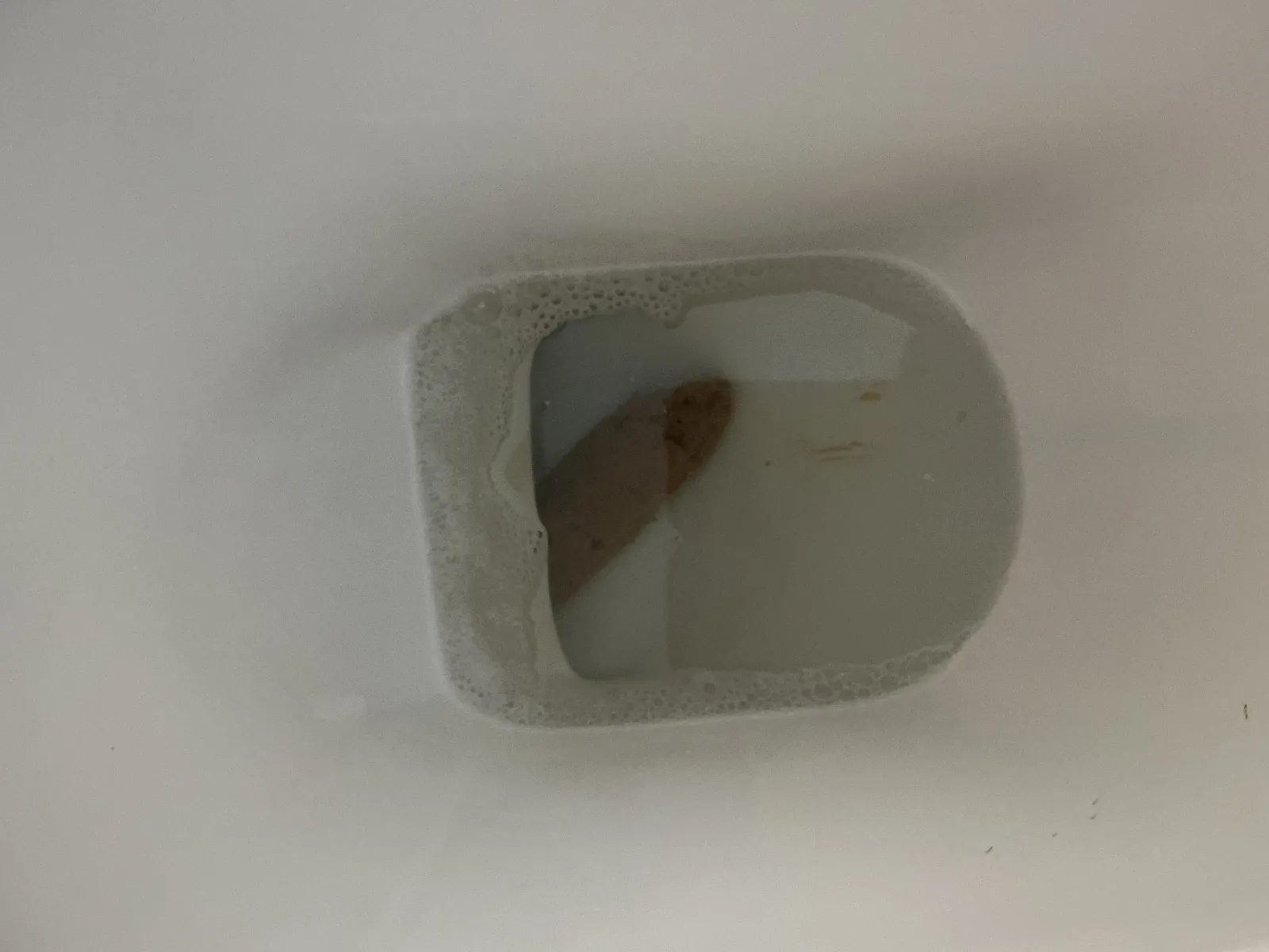 What a whopper of a poo