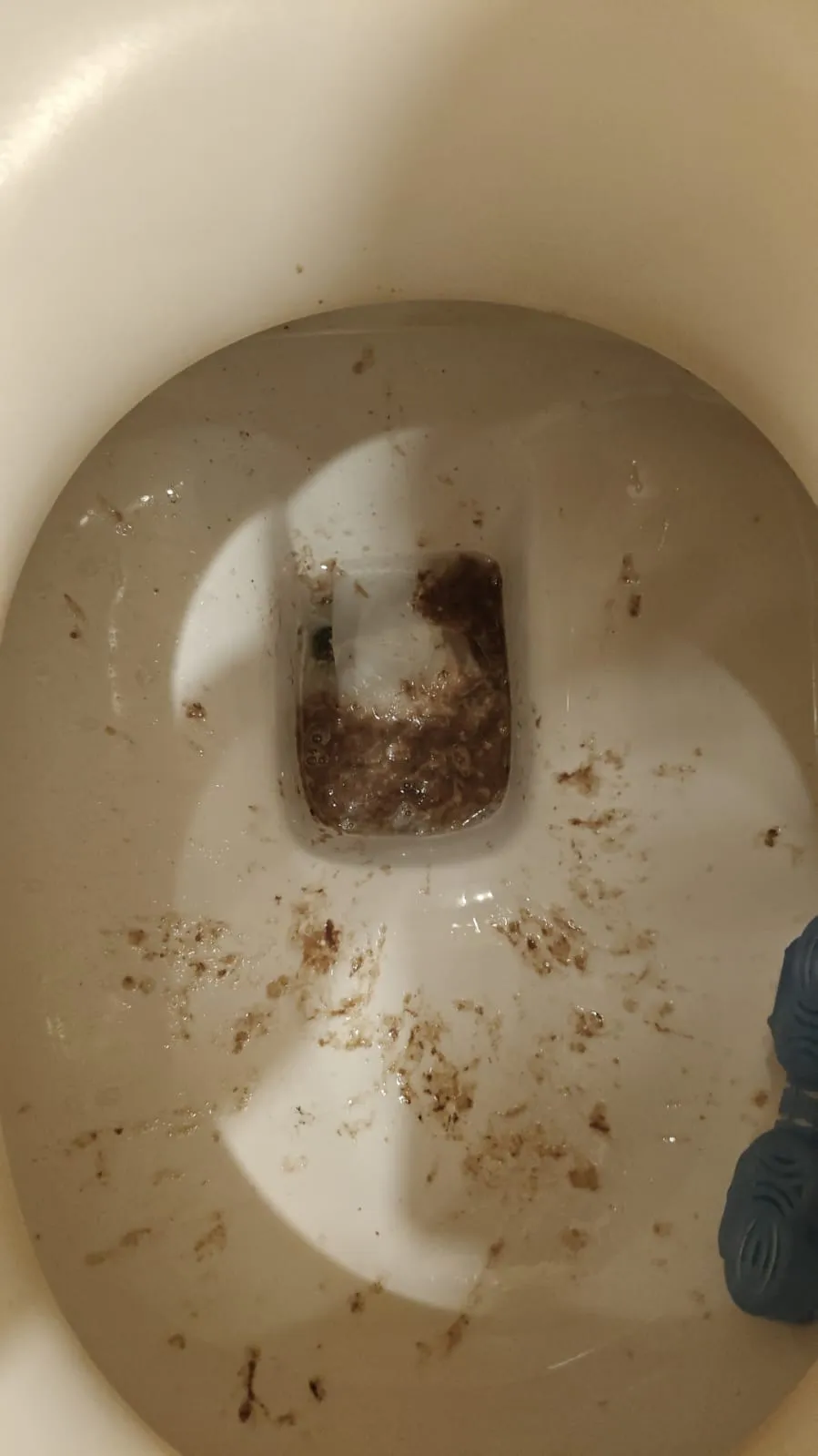 Webgame shit blití s hovnama