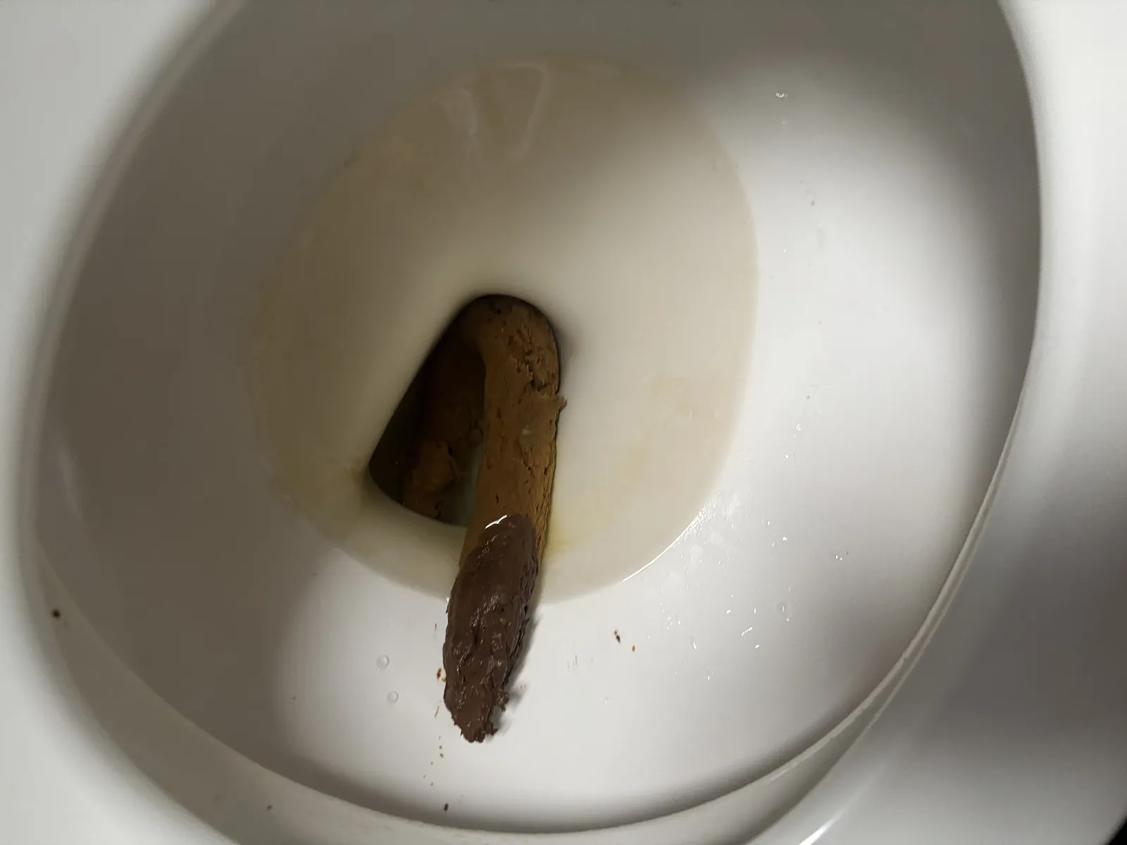 Shitting out of my ass crafk