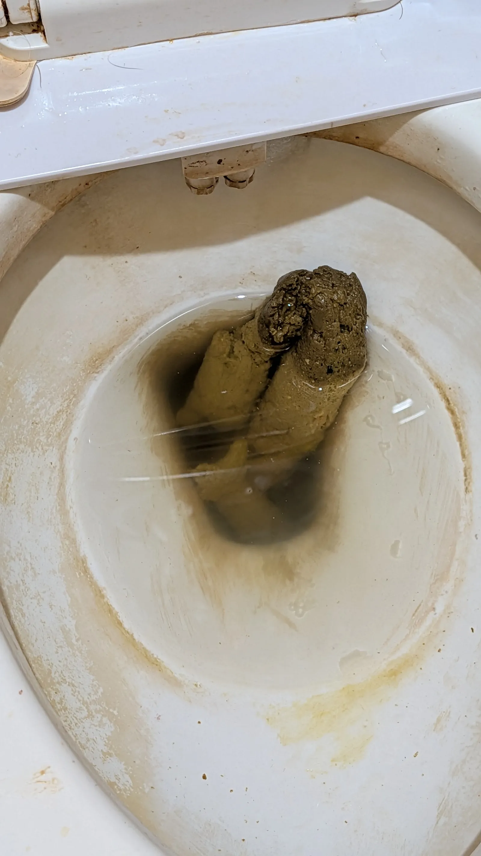 Folded poo