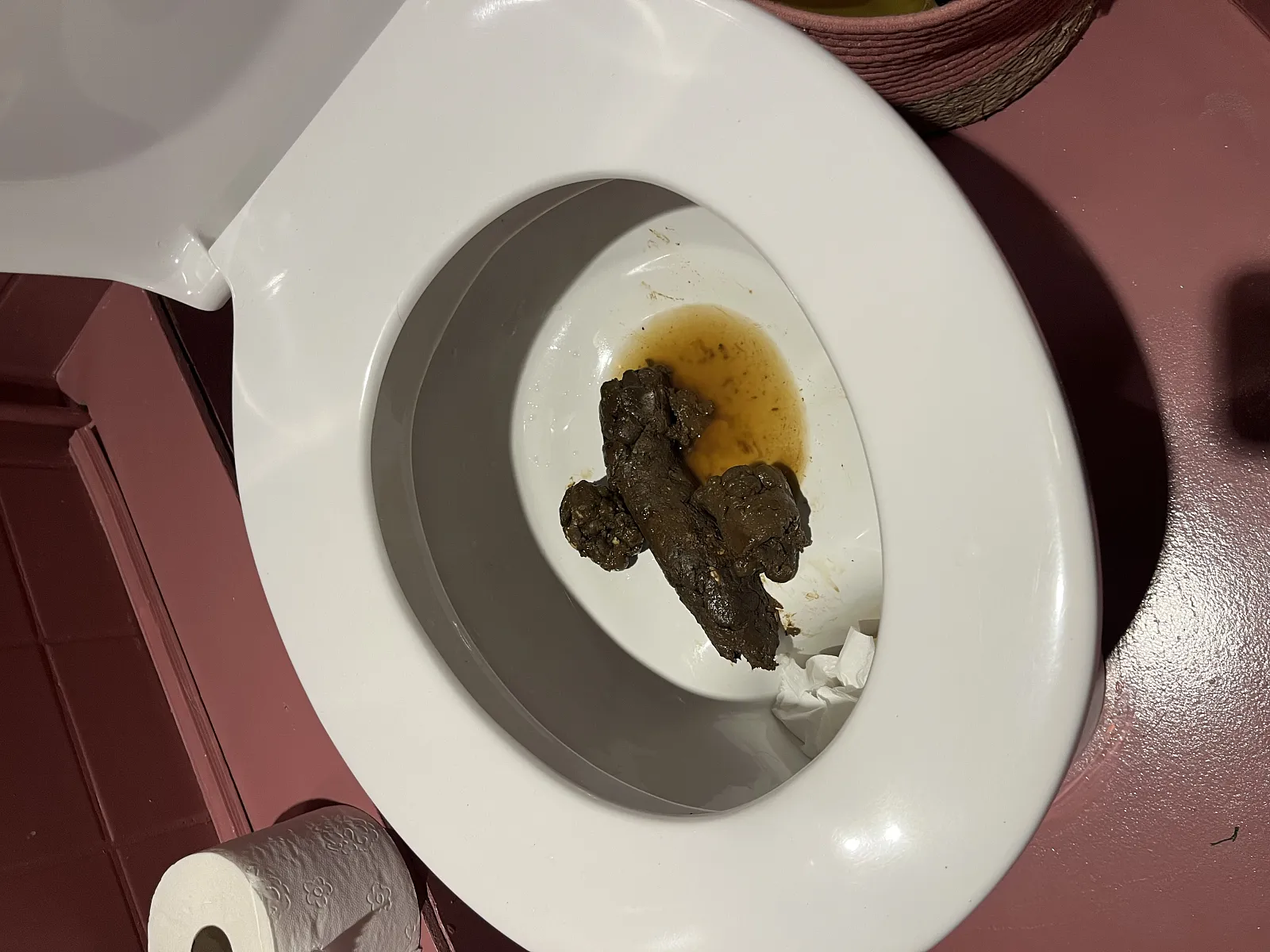 Thick firm sunday poop