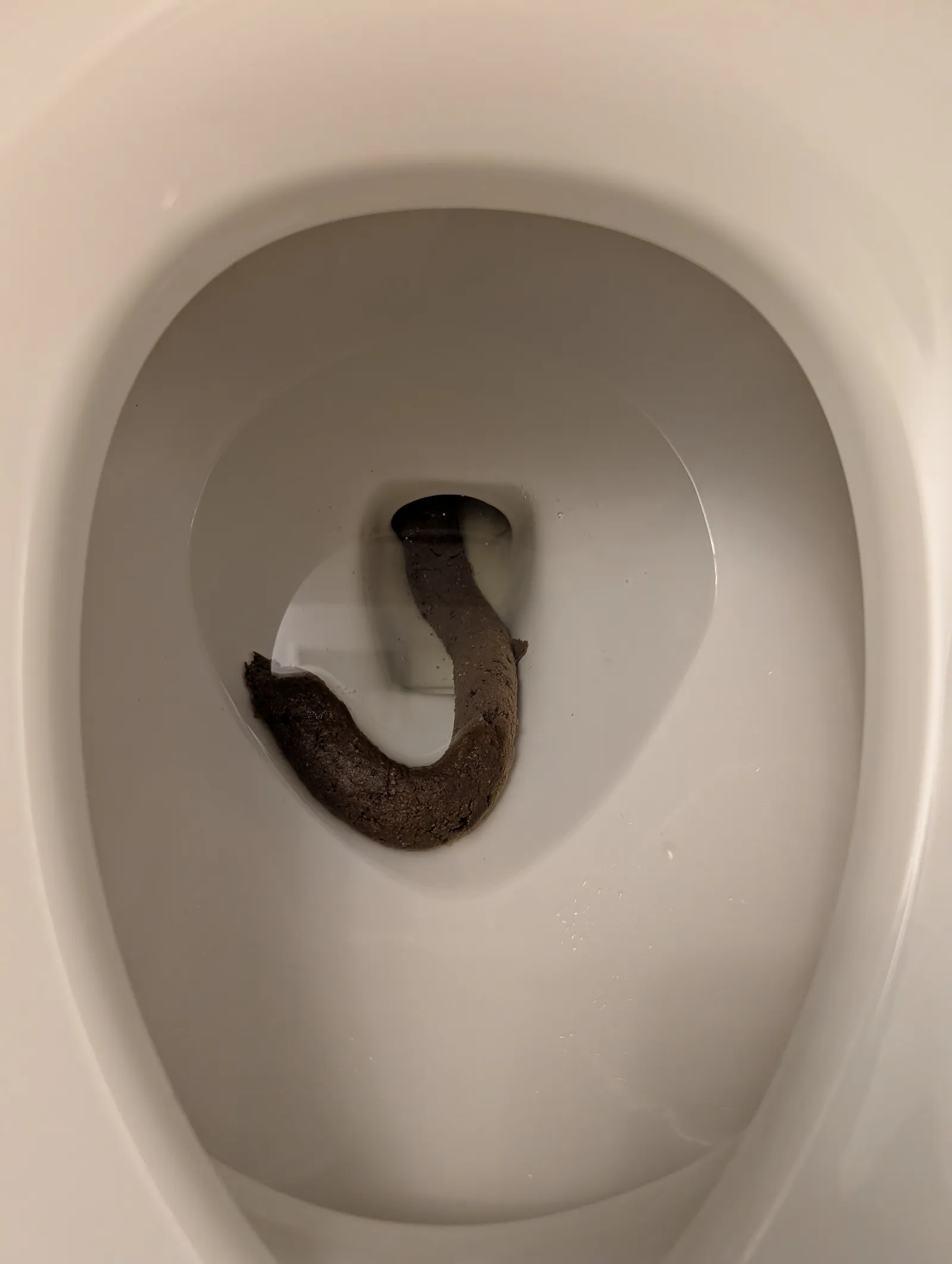 The Sewer Serpent