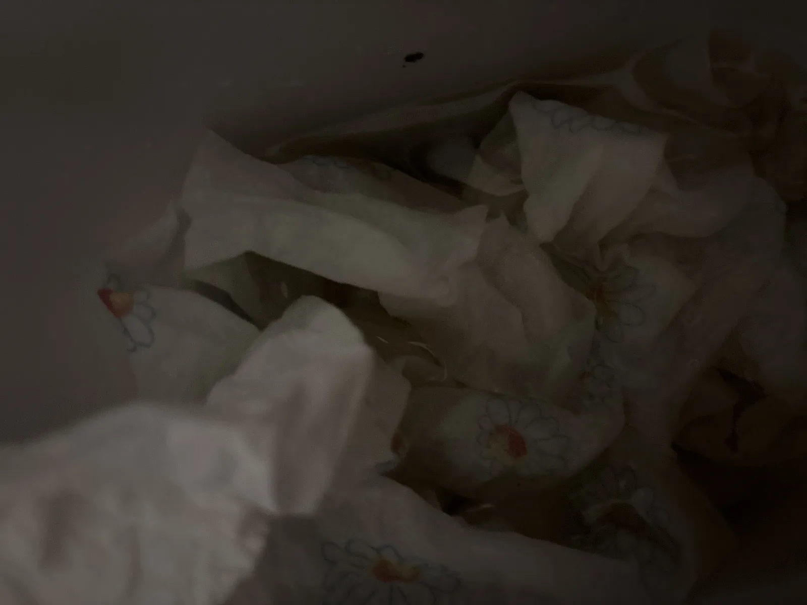 Mooooolto ravvicinata