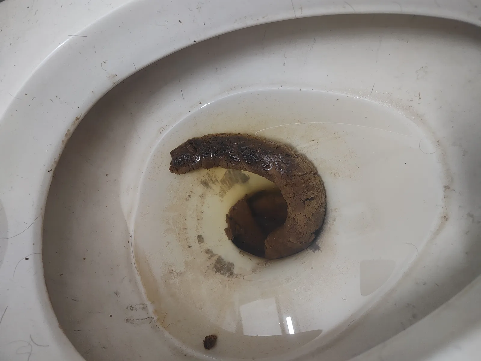 Big poo for you
