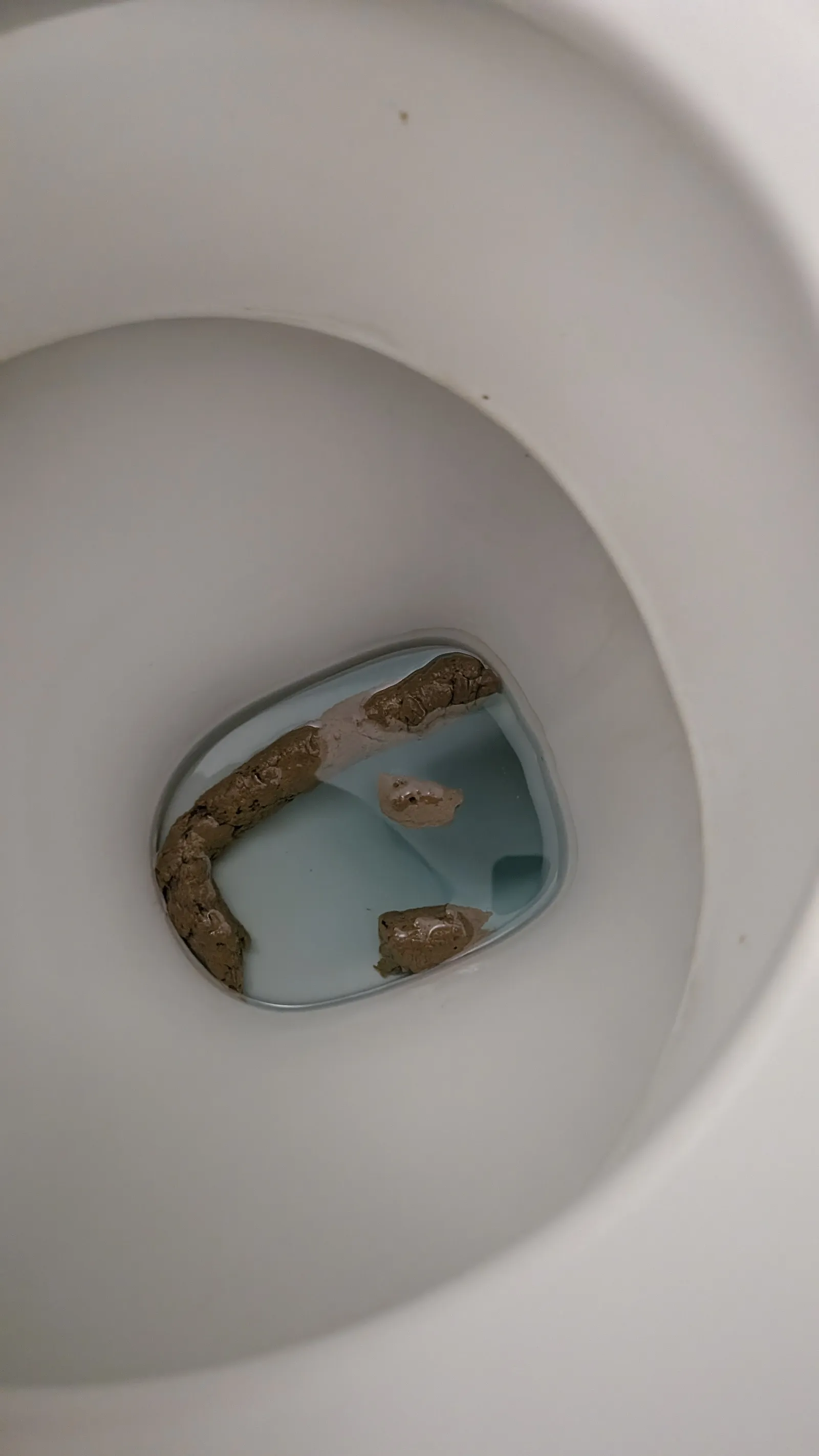 5 year old long poop