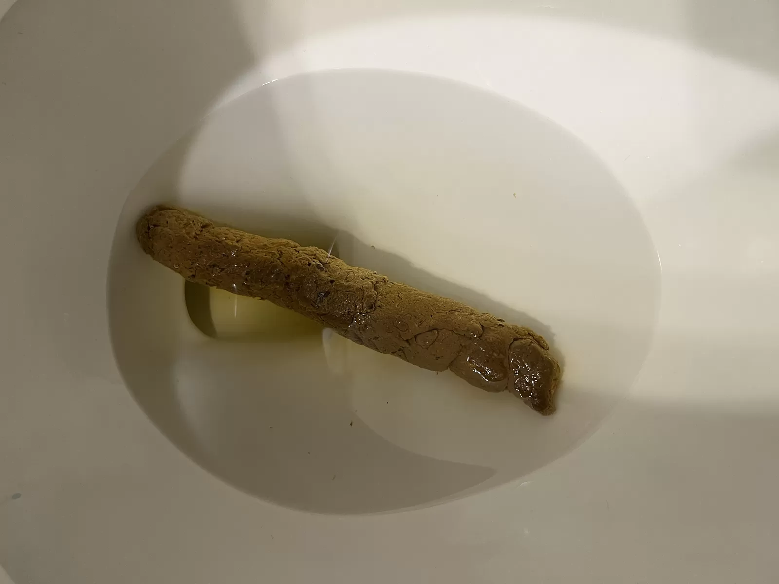 Floating Log