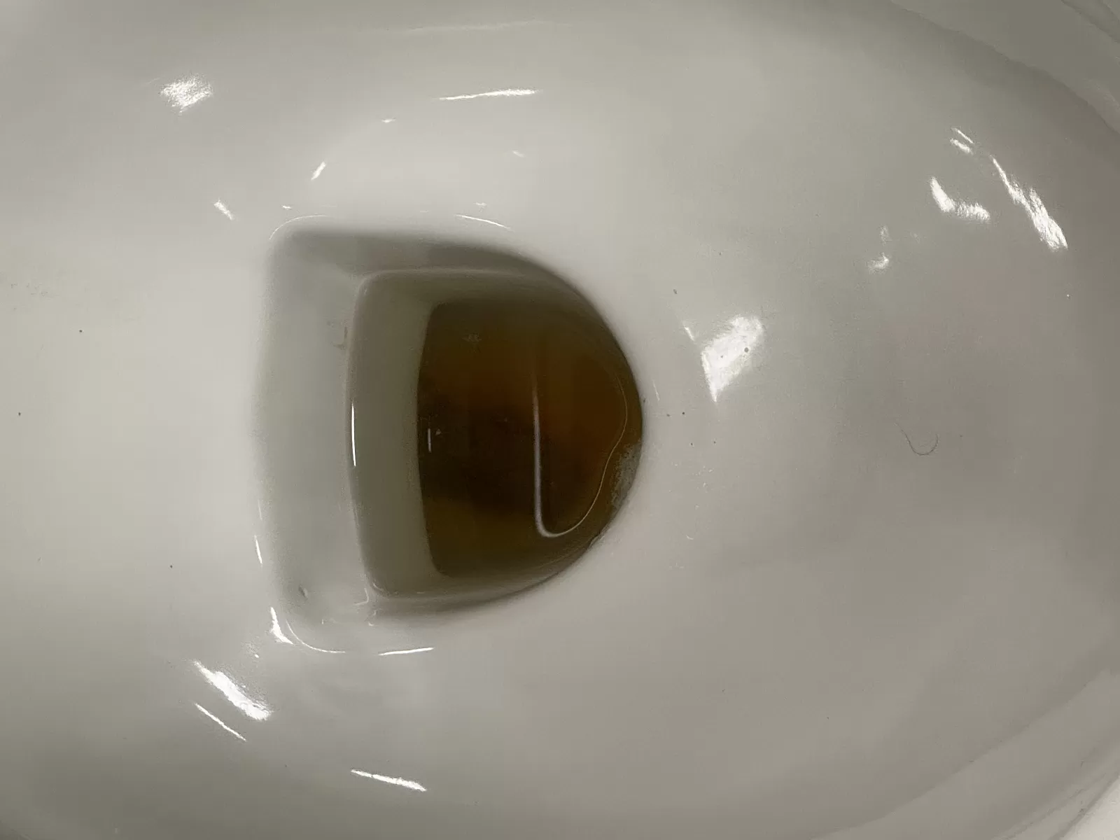 Tallinn poop